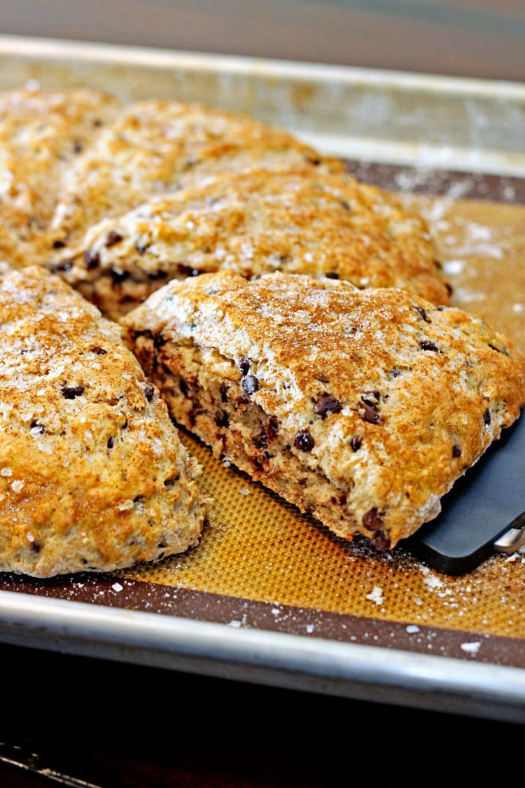 Chocolate Chip Recipes - Chocolate Chip Pecan Buttermilk Scones| Homemade Recipes //homemaderecipes.com/holiday-event/national-chocolate-chip-day