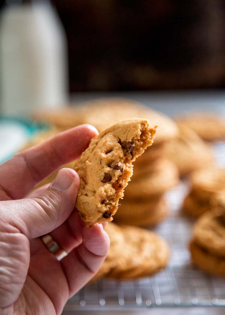 These amazing Peanut Butter Bacon Cookies are beyond tender and rich in mellow, subtle flavor. They get a smokey undertone using bacon fat instead of butter. Yes, bacon fat. keviniscooking.com