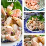photos of shrimp salad
