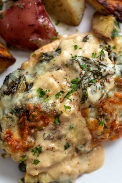 A close up of a plate of creamy chicken florentine