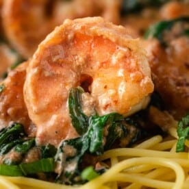 close up of Tuscan Shrimp