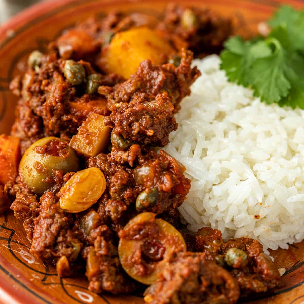 closeup: Cuban picadillo on a plate with rice