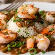 close up of shrimp etouffee on bed of white rice