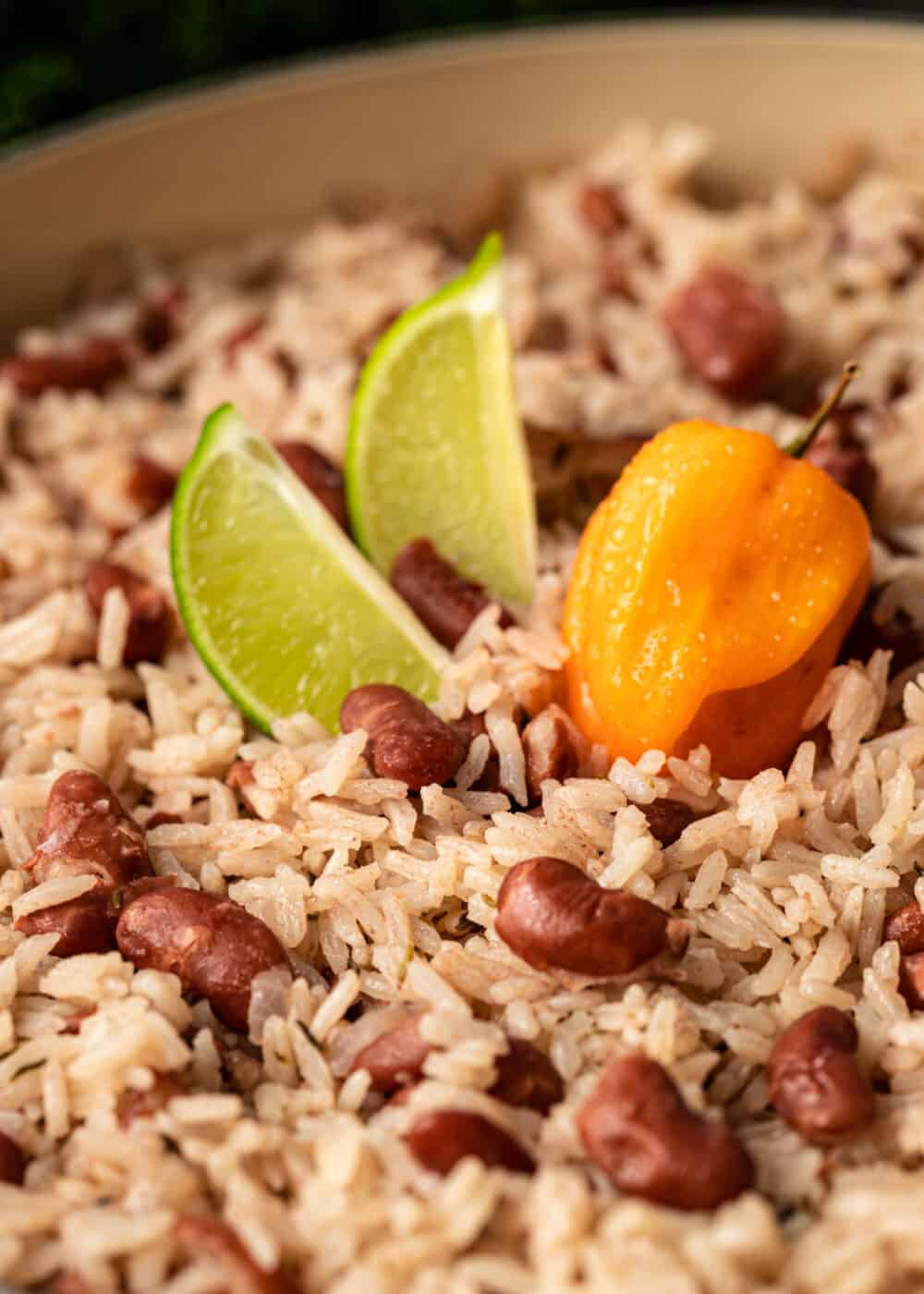 close up image of cooked coconut rice and beans