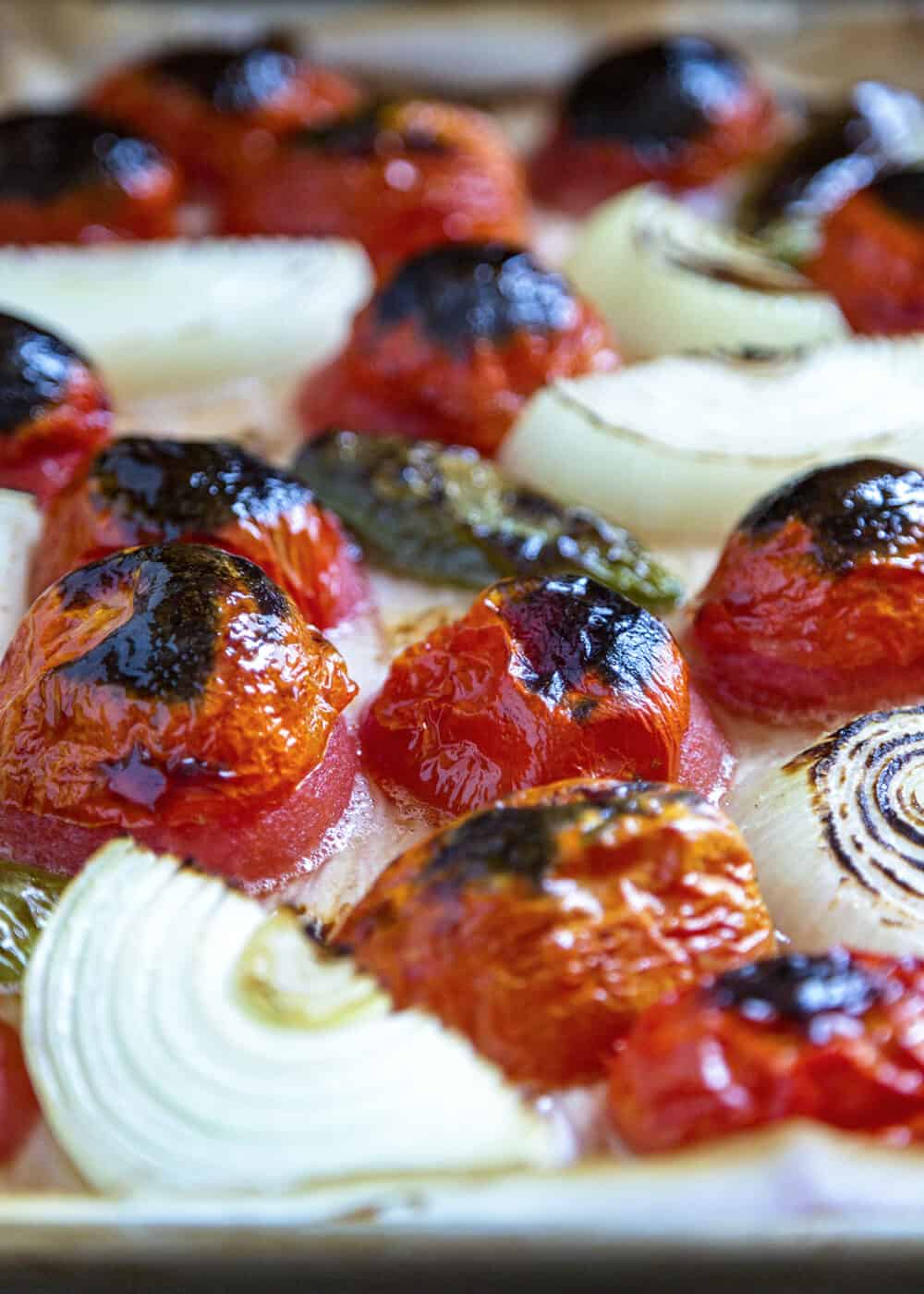 roasted tomatoes and white onions close up