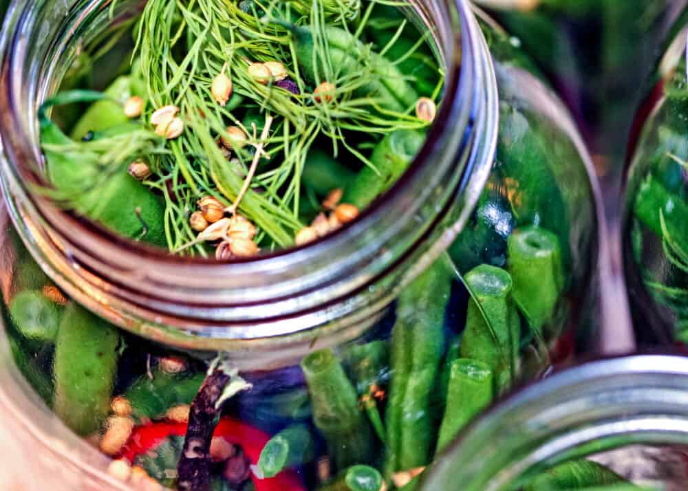 jar filled with herbs and green beans to be pickled