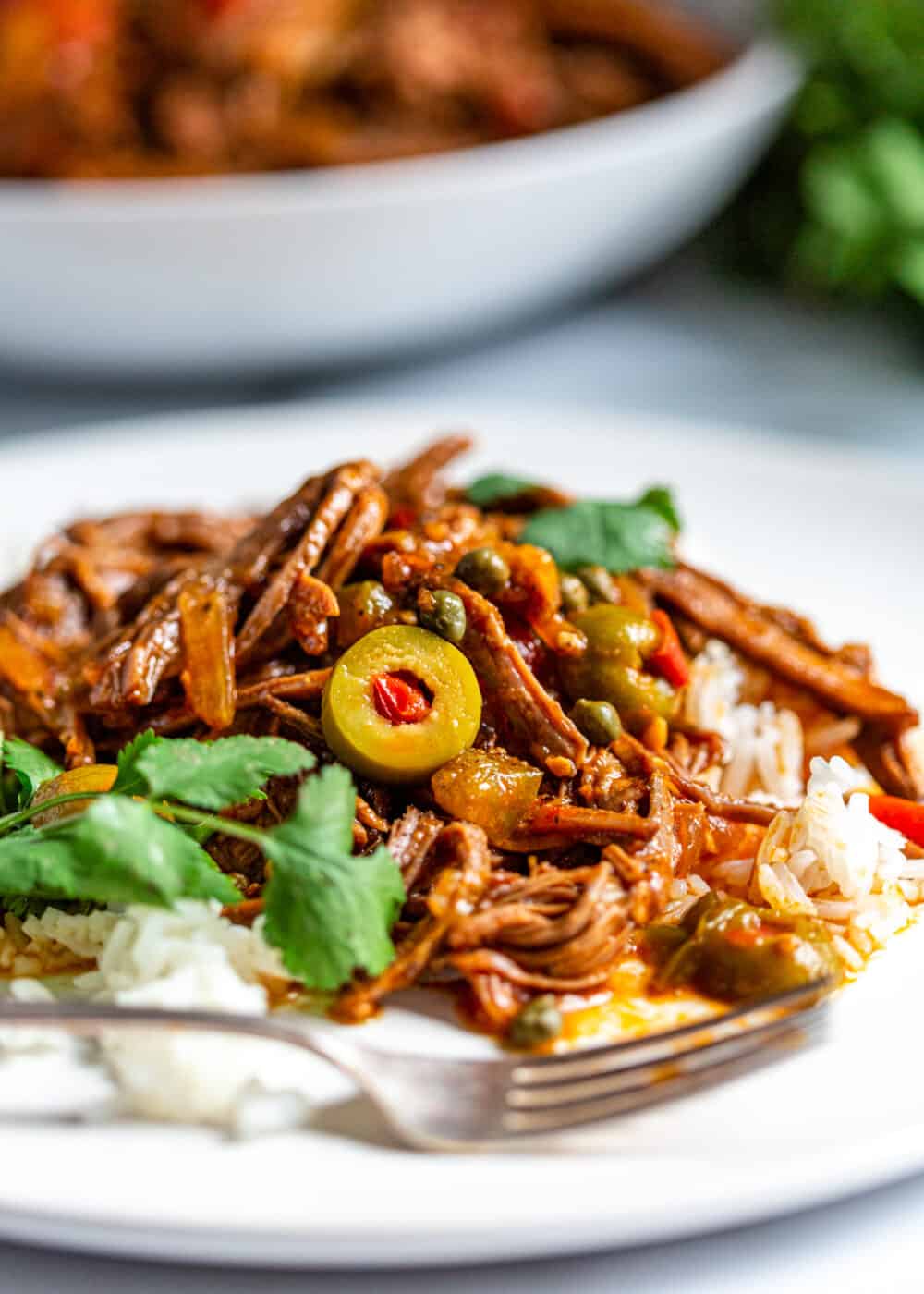 plate of Cuban Ropa Vieja with rice