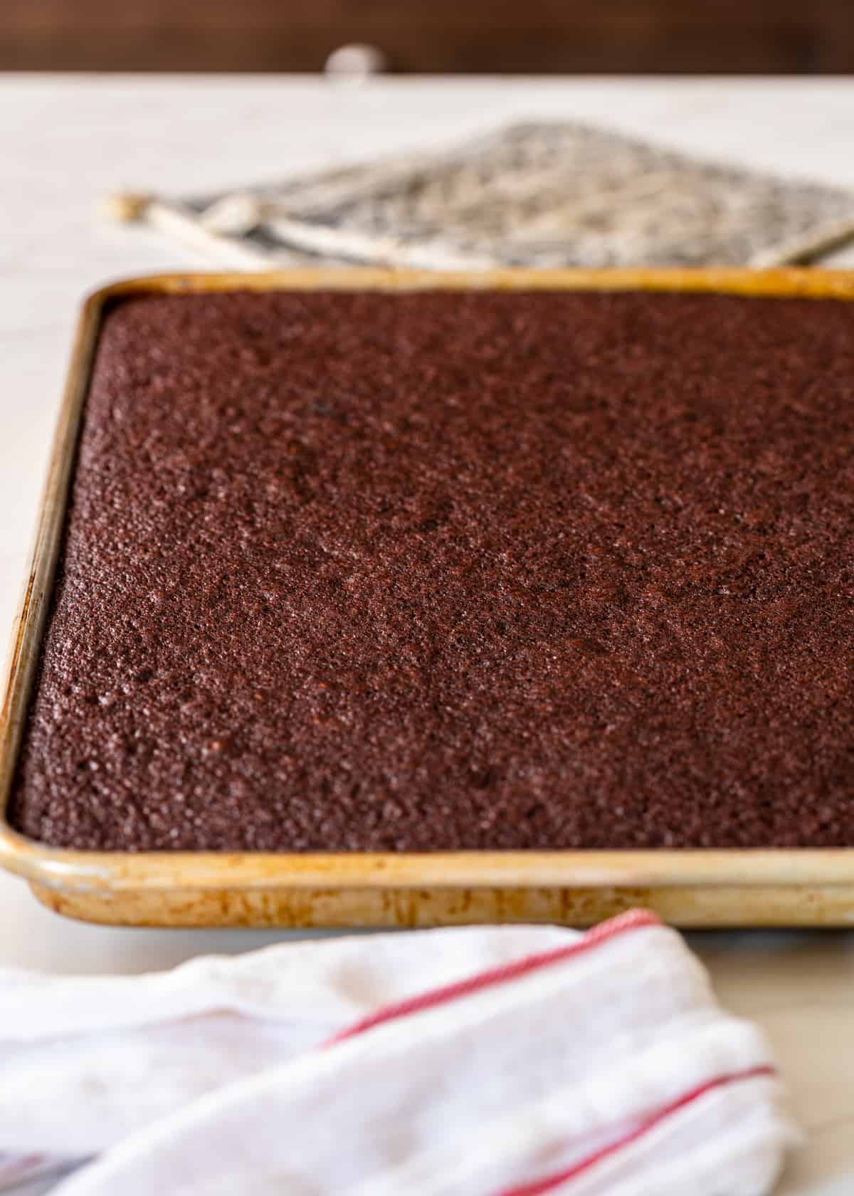 chocolate cake in sheet pan
