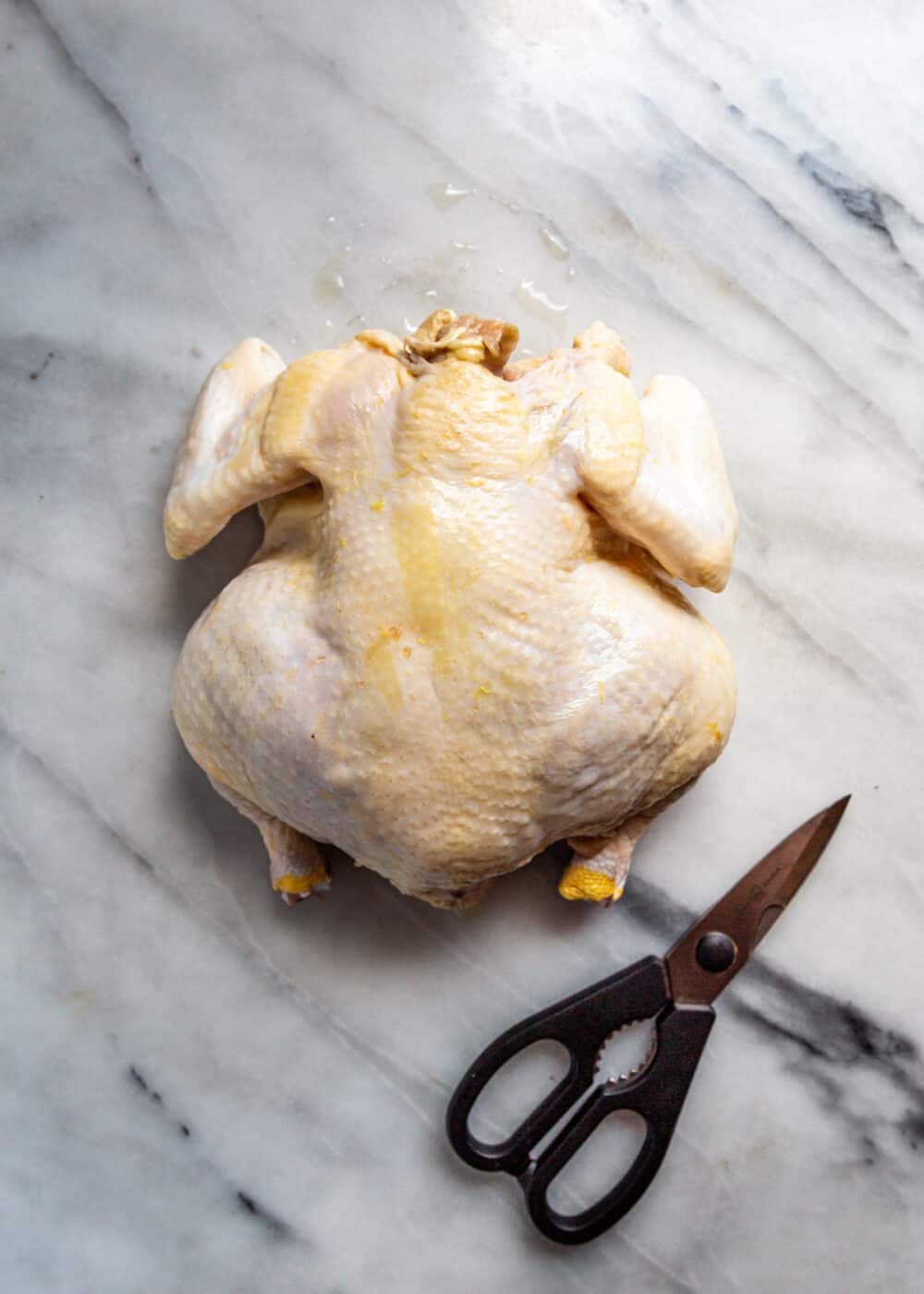 whole chicken on white marble