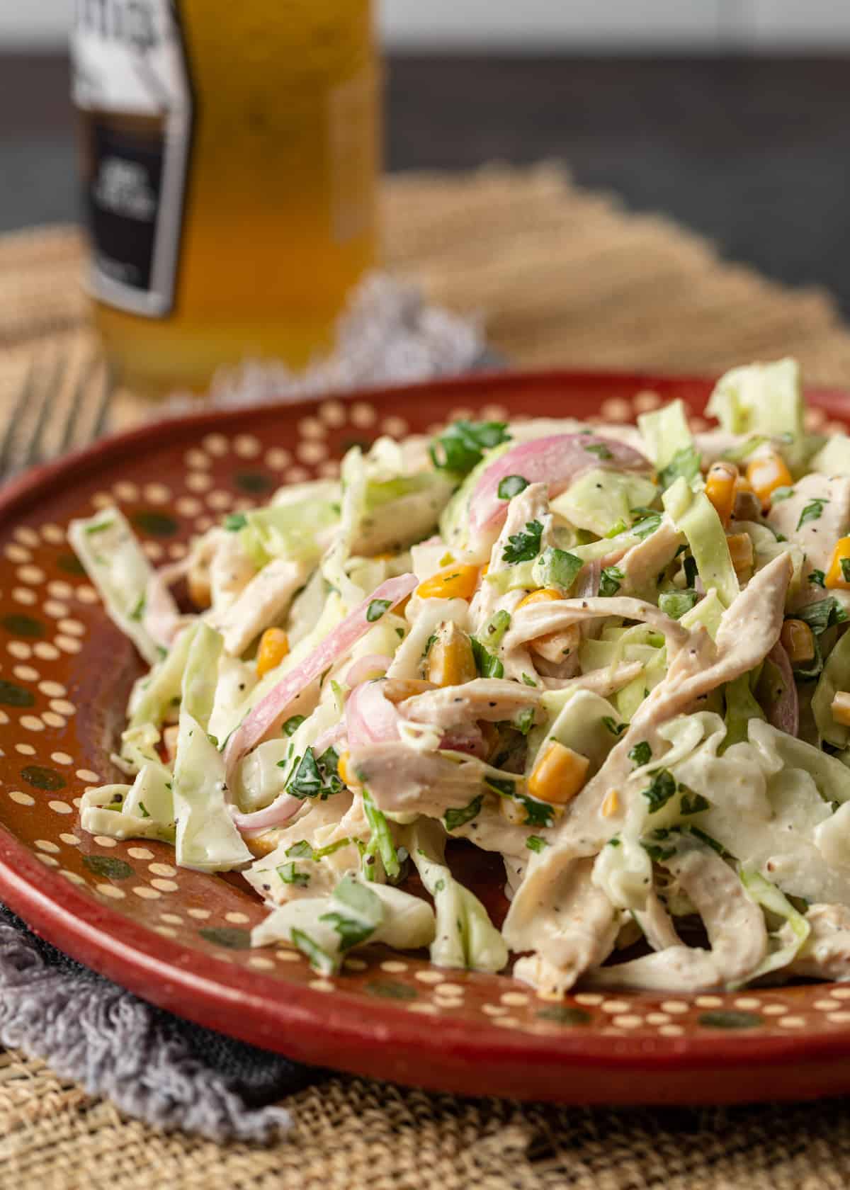 closeup: a plate of Mexican coleslaw with chicken