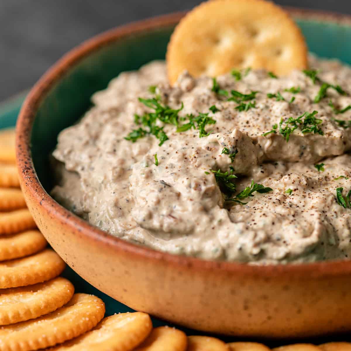Caramelized Onion Dip in a bowl