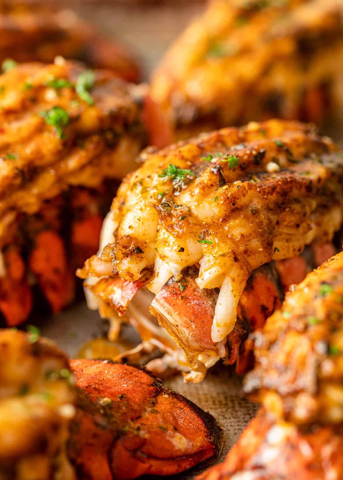 extreme close up: grilled lobster tail